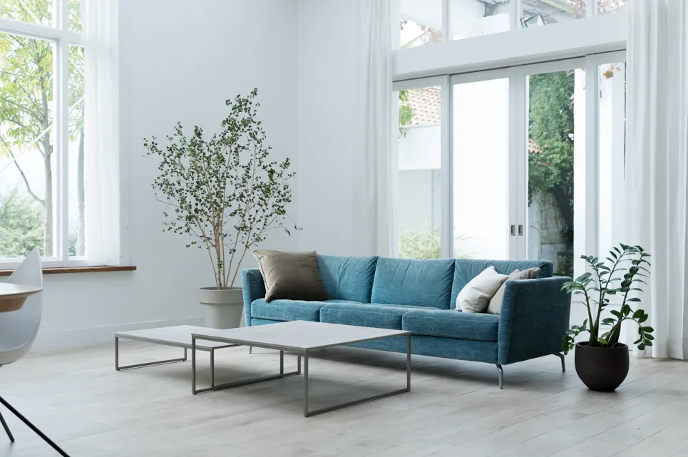 モデルルーム_観葉植物