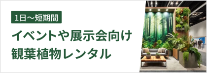 イベントや展示会向け観葉植物レンタル