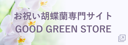 お祝い胡蝶蘭専門サイトGOOD GREEN STORE