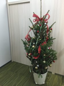 観葉植物レンタル_特殊商品_クリスマスツリー