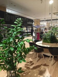 愛知 岐阜の観葉植物レンタル リースならgood Green Goodgreen