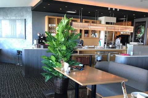 アイキャッチ_カフェ・レストランのレンタル観葉植物