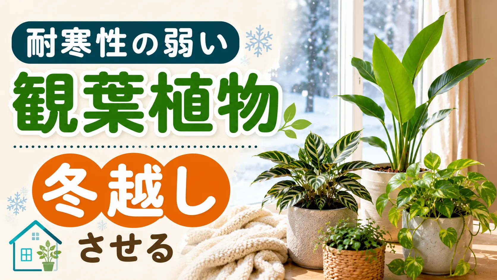 耐寒性の弱い観葉植物を冬越しさせる方法！注意点やおすすめの植物も