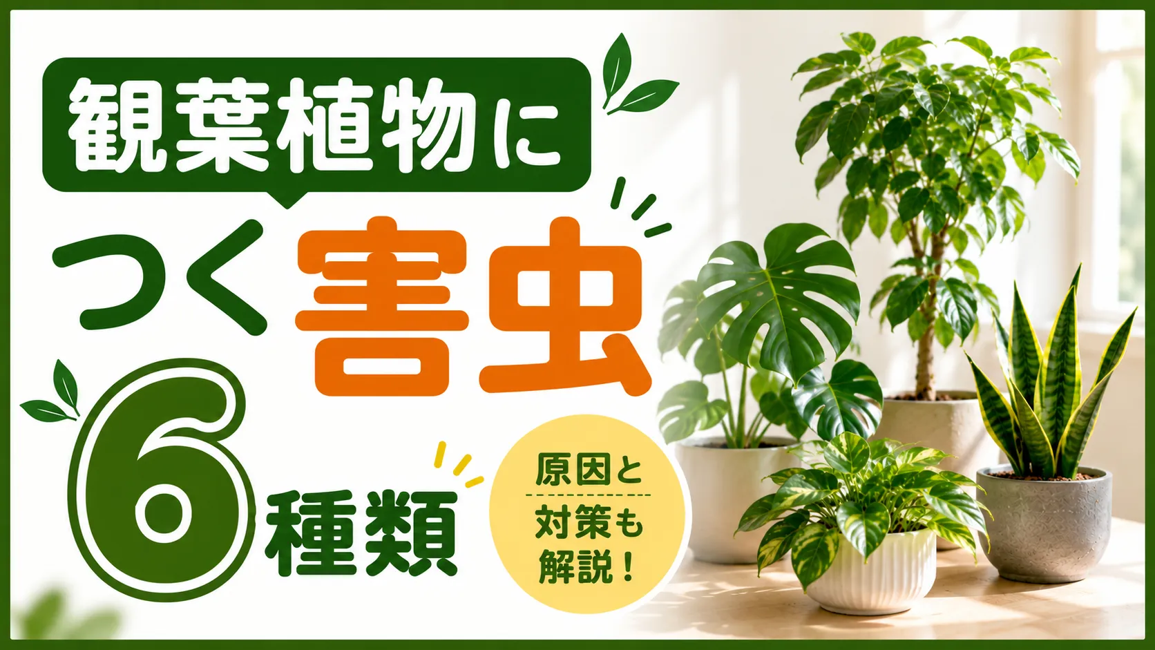 観葉植物につく害虫6種類の原因と対処法！発生させない対策法も解説