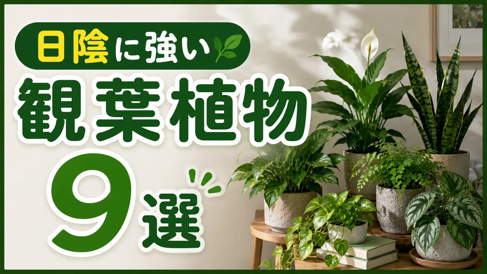 日陰に強い観葉植物９選！種類や育て方のポイントを徹底解説