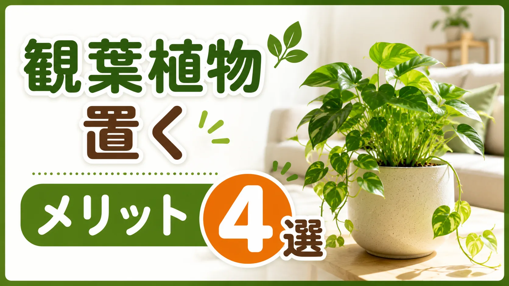 知ってた？観葉植物をお部屋やオフィスに置くメリット４選