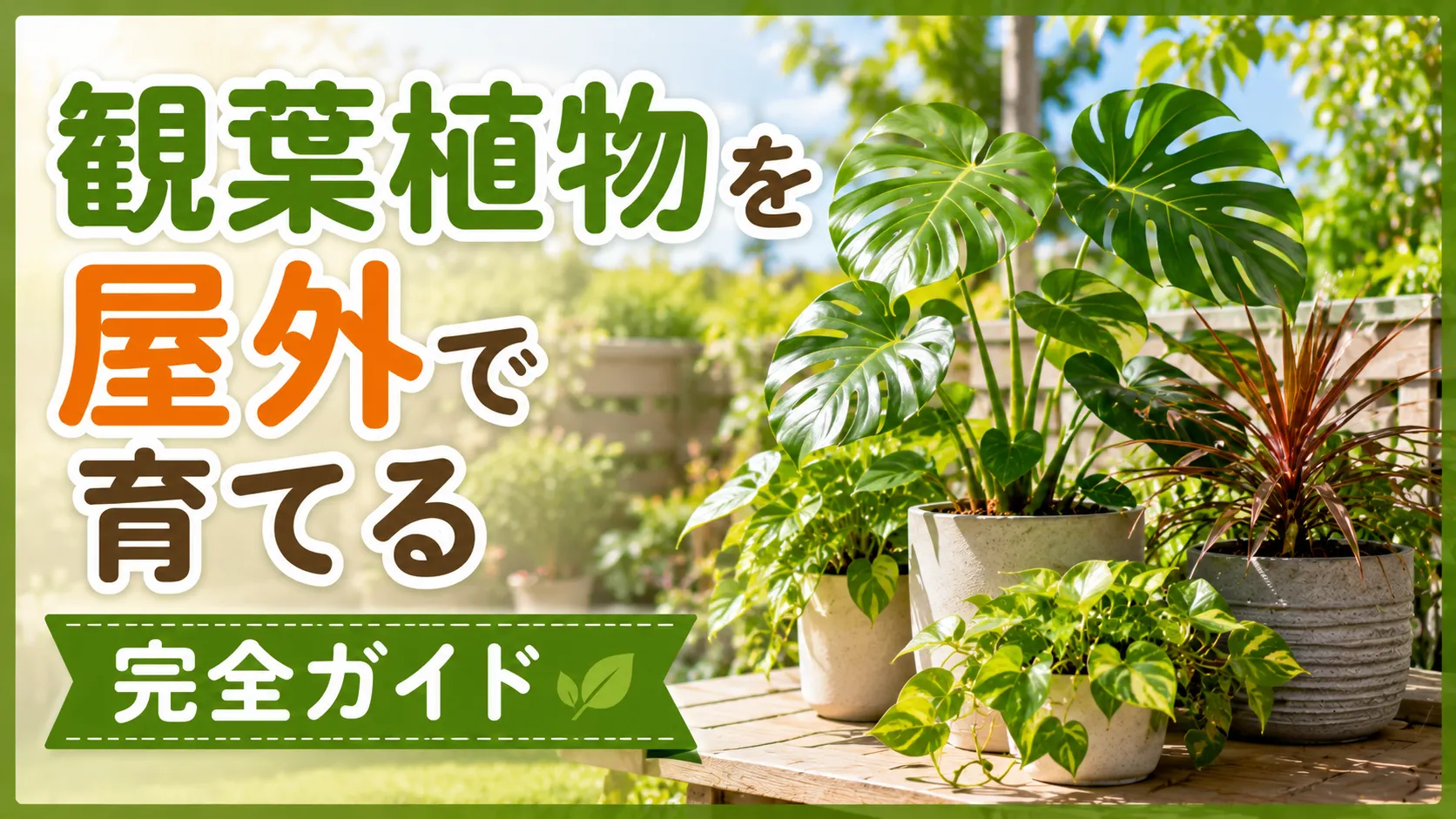 観葉植物を屋外で育てる完全ガイド｜ベランダ・庭での管理のコツと注意点