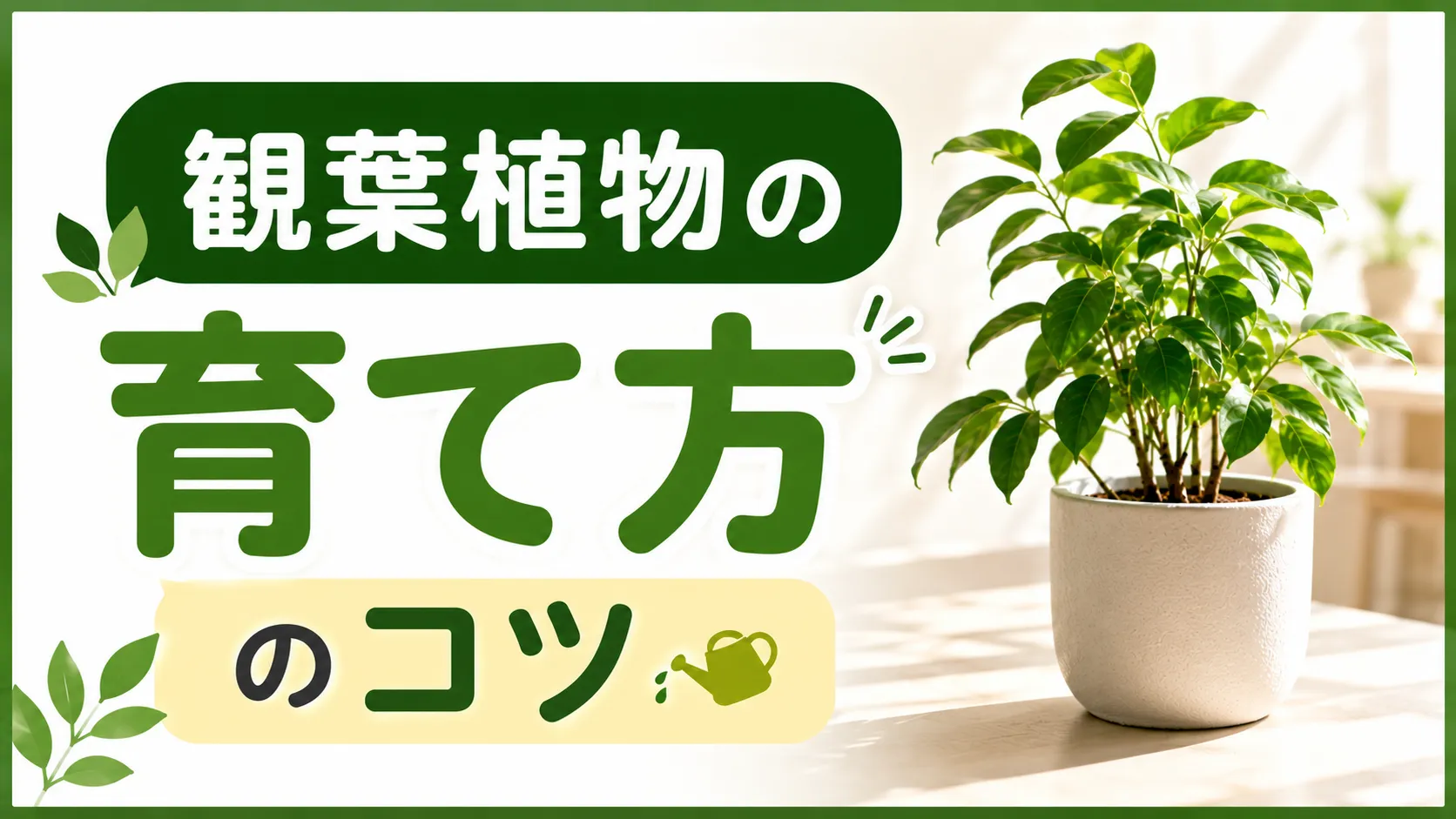 観葉植物の育て方のコツ:水やり・剪定・植替えのポイントを徹底解説