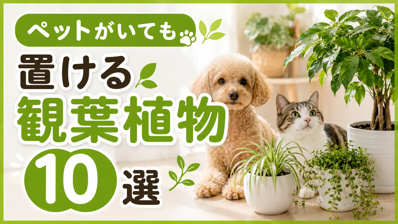 ペットがいても置ける安全な観葉植物10選！有害な種類や対策も解説