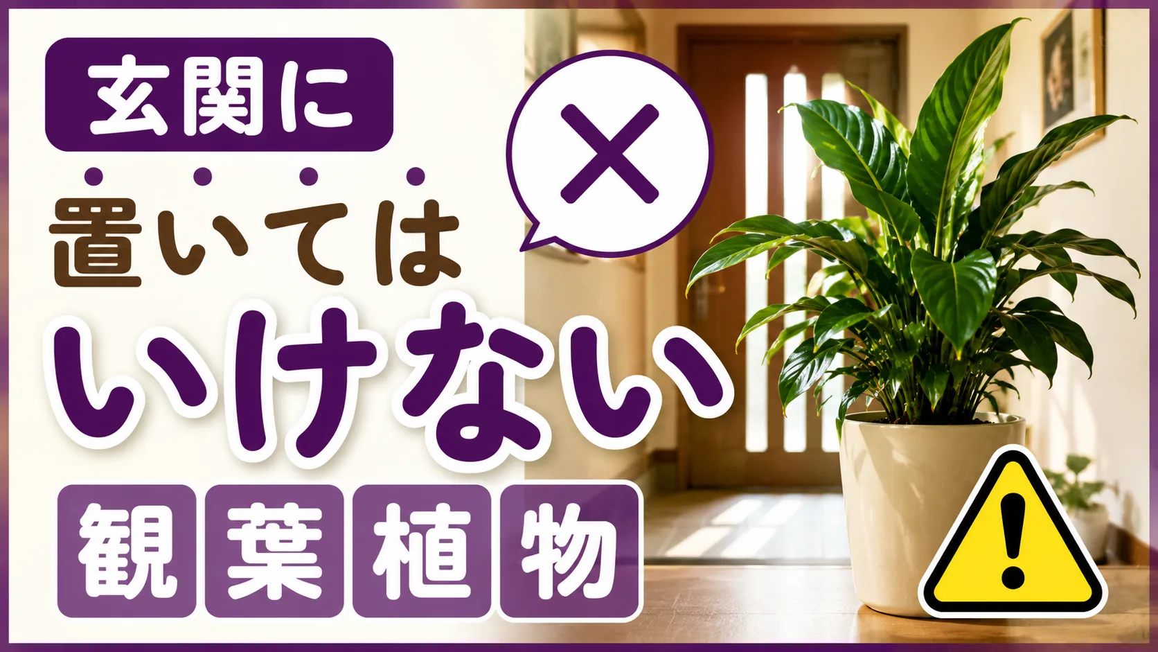 玄関に置いてはいけない観葉植物の特徴！風水効果で運気を上げる植物も