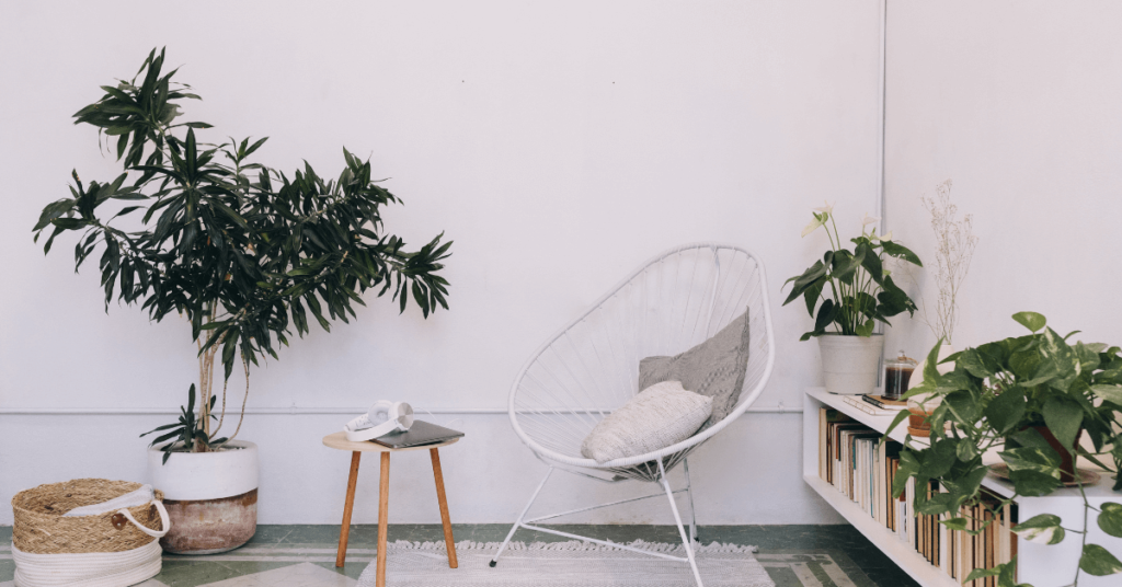 部屋に観葉植物を配置