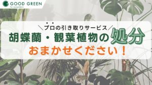 胡蝶蘭植物の引き取り_アイキャッチ