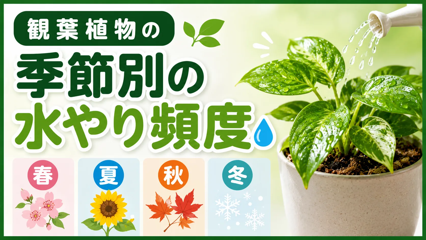 観葉植物の季節別の水やり頻度！タイミングや水のやり方・注意点も