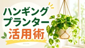 吊るす植物をおしゃれに飾る！ハンギングプランター活用術:初心者向け