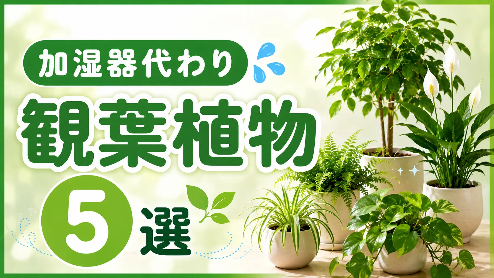 加湿器代わりに最適な観葉植物おすすめ５選:乾燥対策に！
