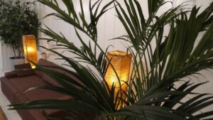 美容院サロン_観葉植物