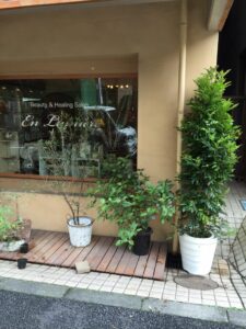 美容院サロン_観葉植物