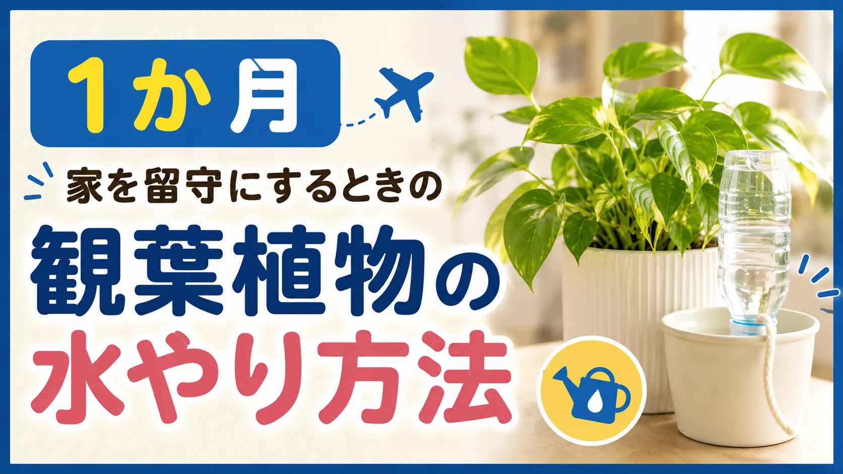 1か月家を留守にするときの観葉植物の水やり方法5つ・注意点を解説