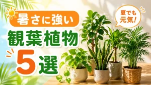 暑さに強い観葉植物５選：初心者にも育てやすい種類