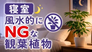 寝室に置くと逆効果？風水的にNGな観葉植物とその理由