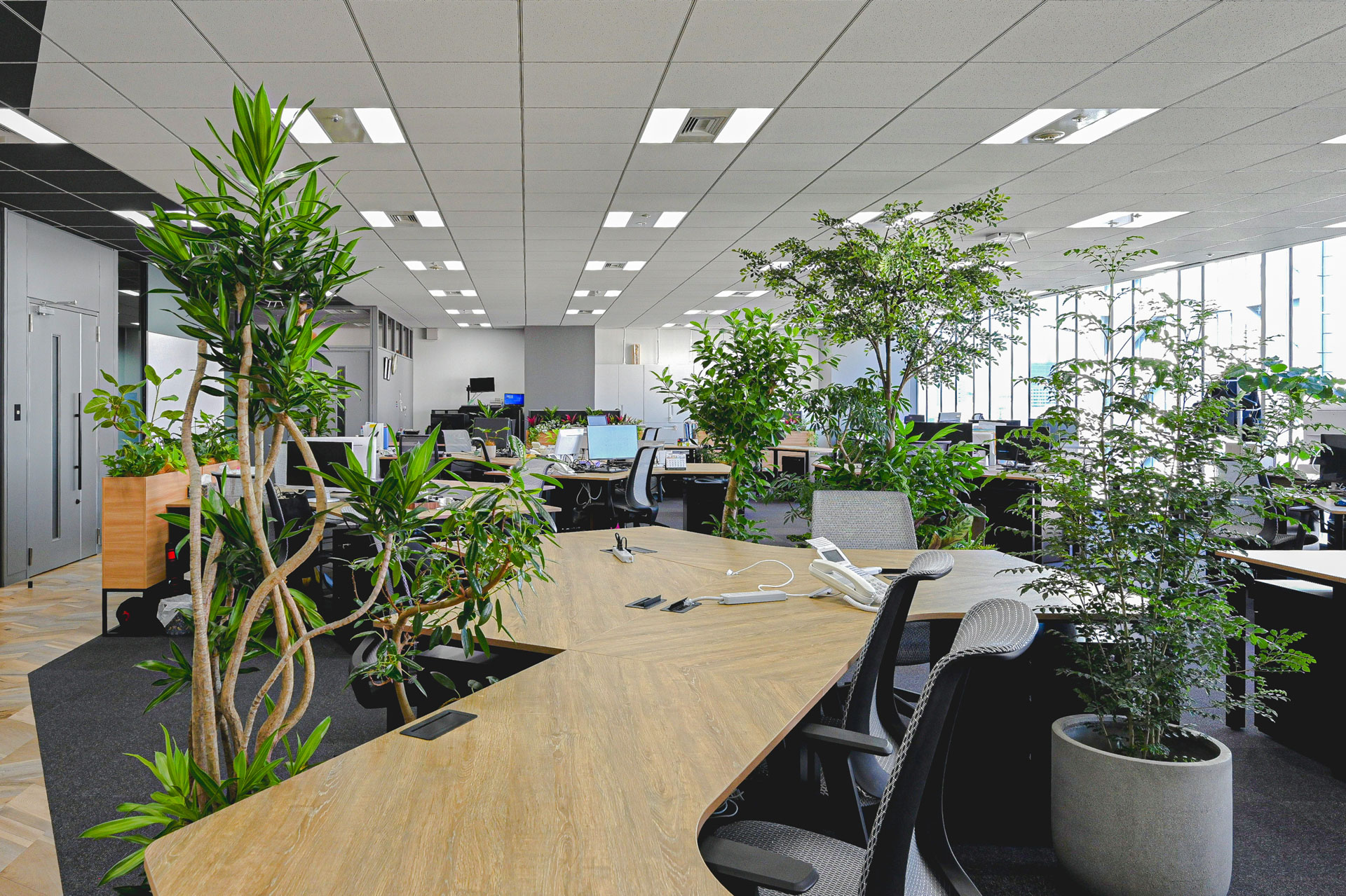 株式会社スマートサプライの画像_4