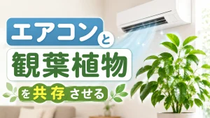 エアコンと観葉植物を上手に共存させる完全ガイド【季節別ケア付き】