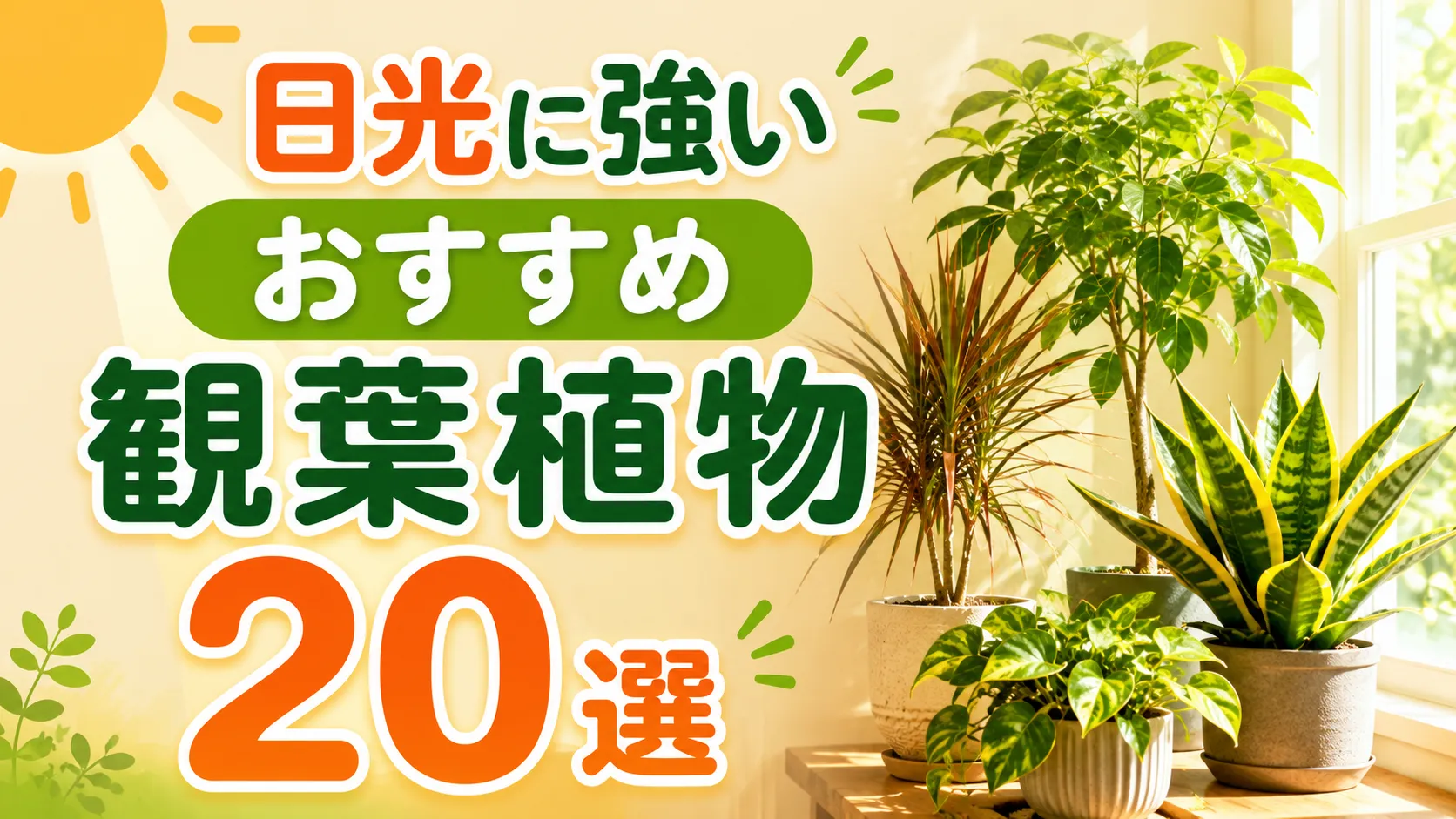 日光に強いおすすめ観葉植物20選｜植物の特徴や育てるコツも解説