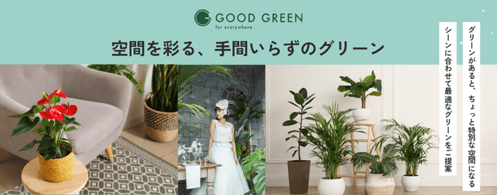 観葉植物廃棄処分バナーPC
