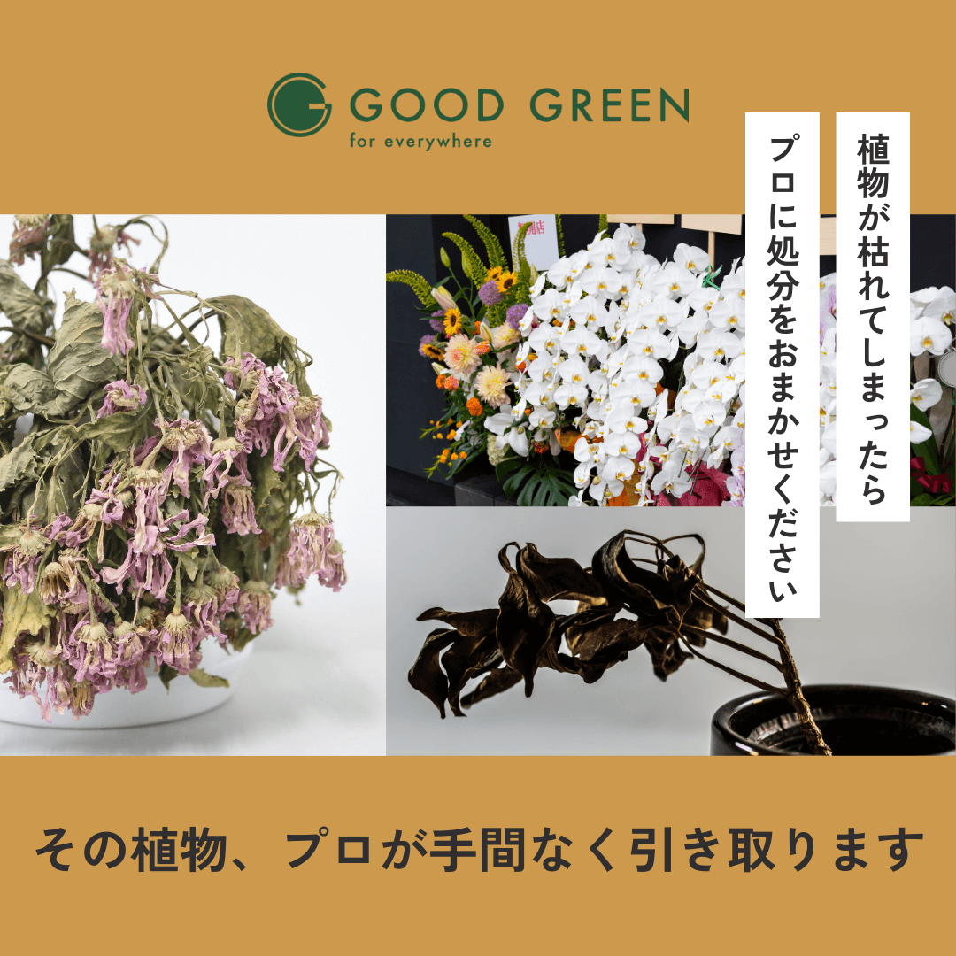 観葉植物廃棄処分バナースマホ