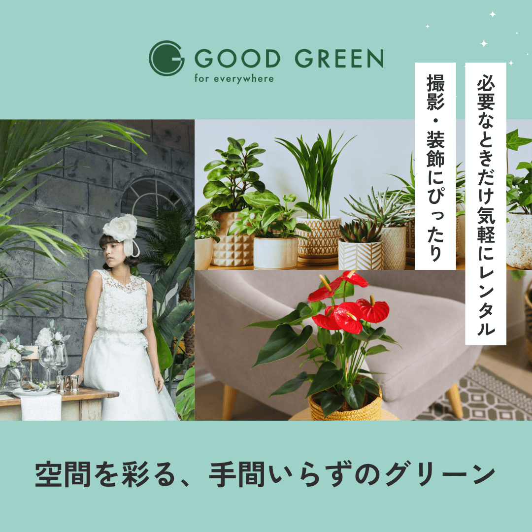 観葉植物廃棄処分バナースマホ
