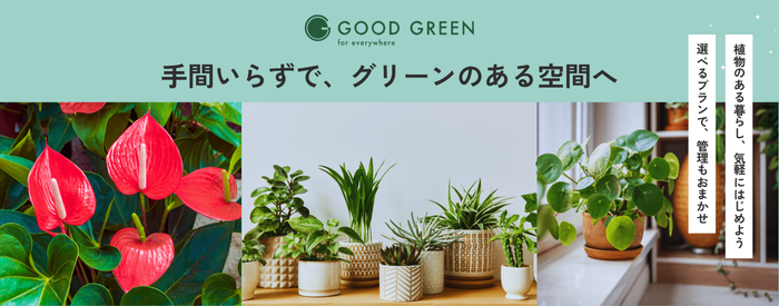 お花の定期便の画像