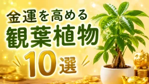 金運を高めると言われるおすすめ観葉植物10選｜置き場所や方角も