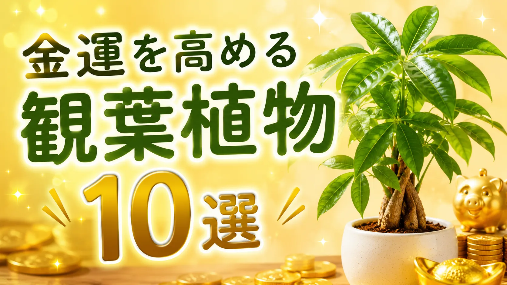 金運を高めると言われるおすすめ観葉植物10選｜置き場所や方角も