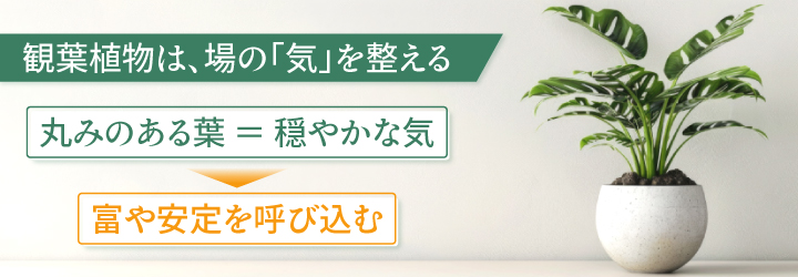 風水における観葉植物の意味とは？