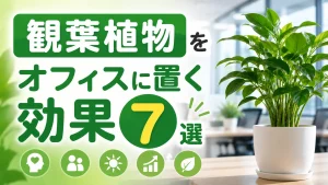 観葉植物をオフィスに置く効果7選｜選び方や人気の観葉植物も紹介！