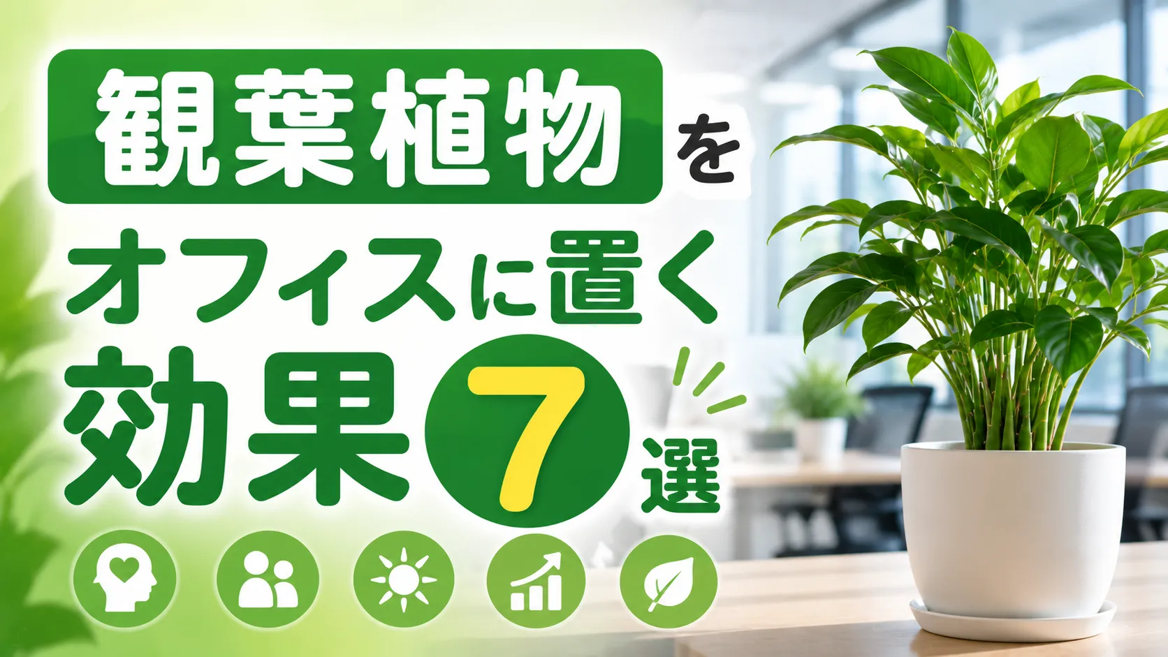 観葉植物をオフィスに置く効果7選｜選び方や人気の観葉植物も紹介！