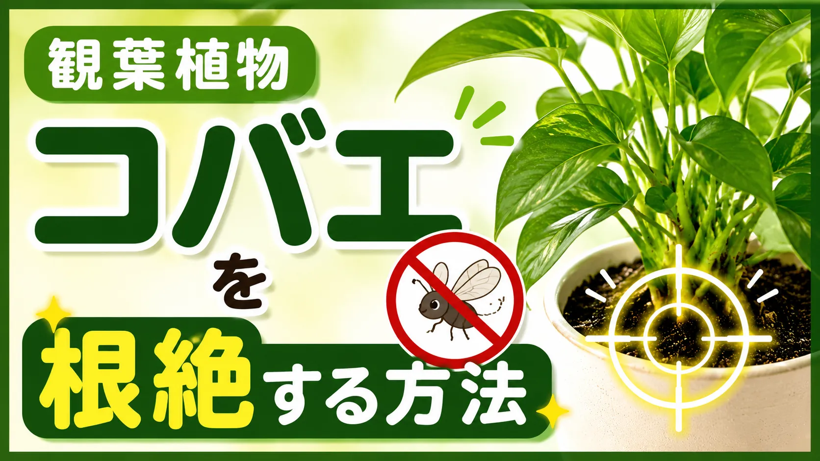 観葉植物のコバエを根絶する方法｜種類の見分け方から二度と繰り返さない予防策まで