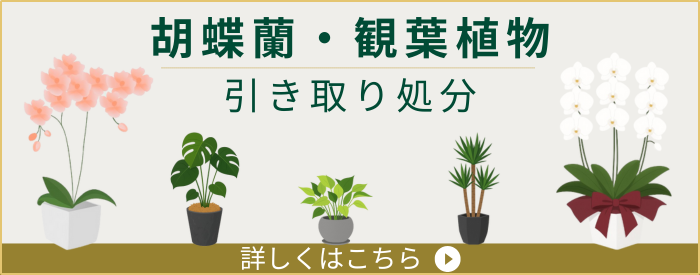 飾り鉢