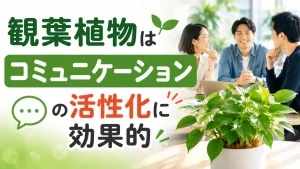 観葉植物はコミュニケーションの活性化に効果的！レイアウトのコツも