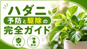 【保存版】ハダニ予防と駆除の完全ガイド｜観葉植物を守る方法