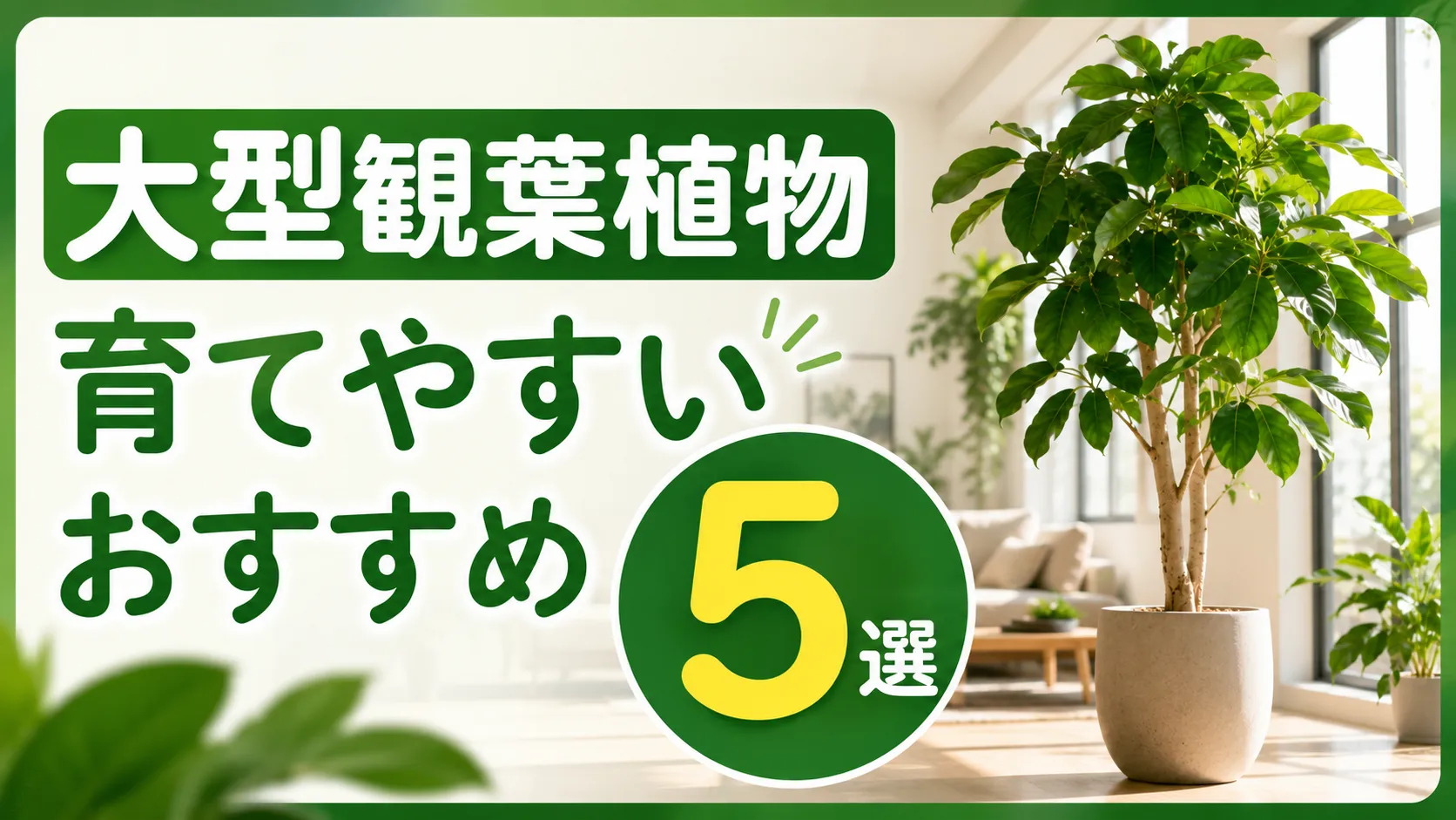 大型観葉植物の初心者さん必見！ 枯らさない＆育てやすいおすすめ5選
