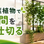 観葉植物で空間を仕切る！フェイクとの違いやおしゃれな活用例を紹介