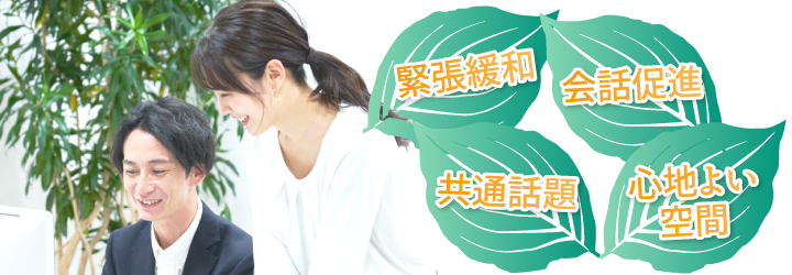 観葉植物がコミュニケーションを活性化させる理由