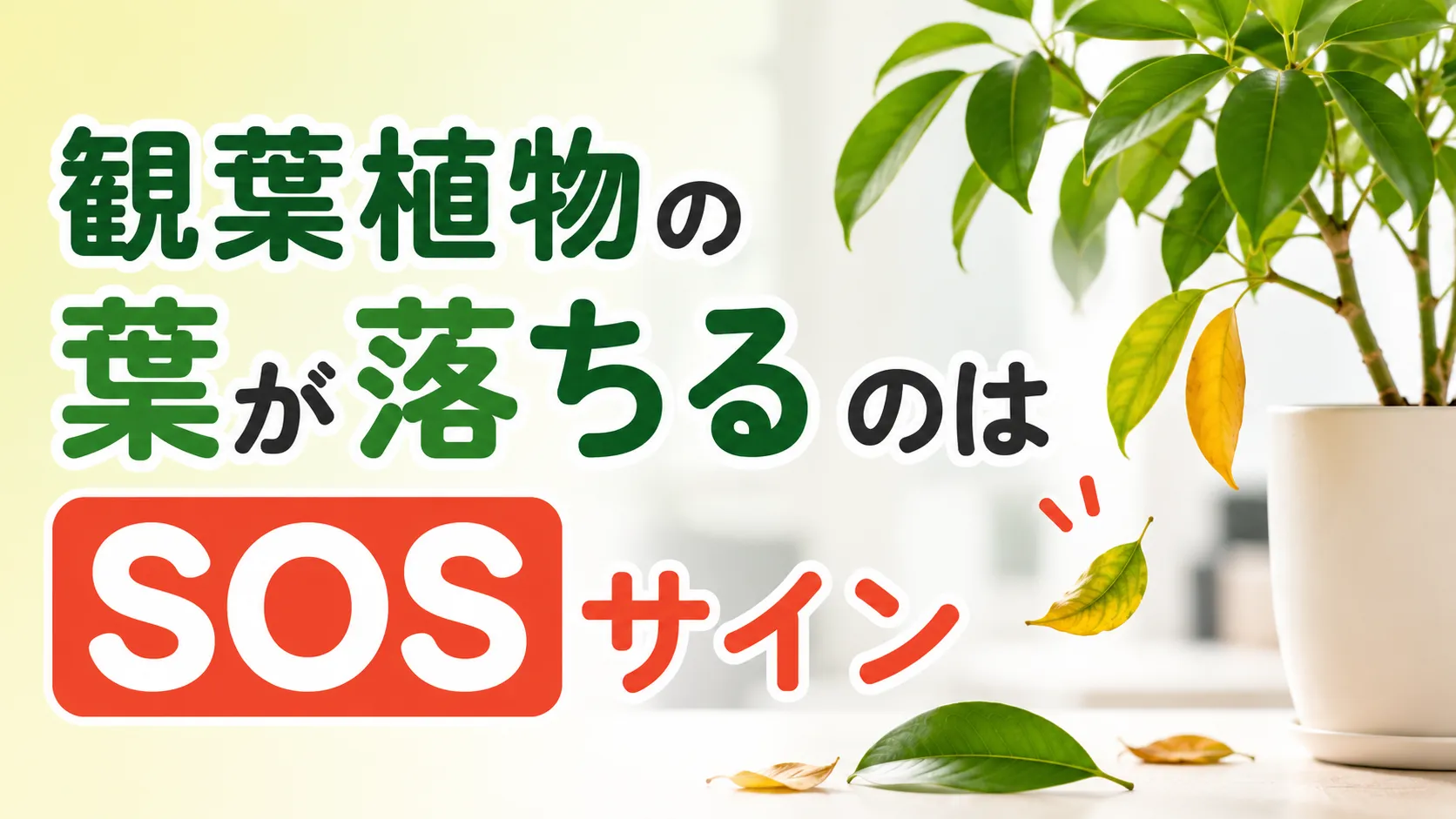観葉植物の葉が落ちるのはSOSサイン！復活の秘訣とNG習慣を大公開