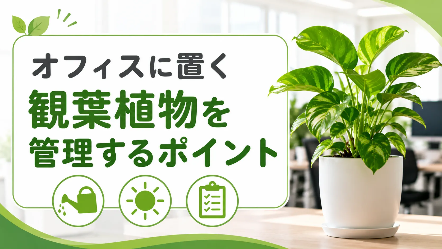 オフィスに置く観葉植物を管理するポイントは？プロに任せるメリットも