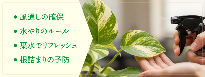 オフィスに設置している観葉植物を枯らさないコツ