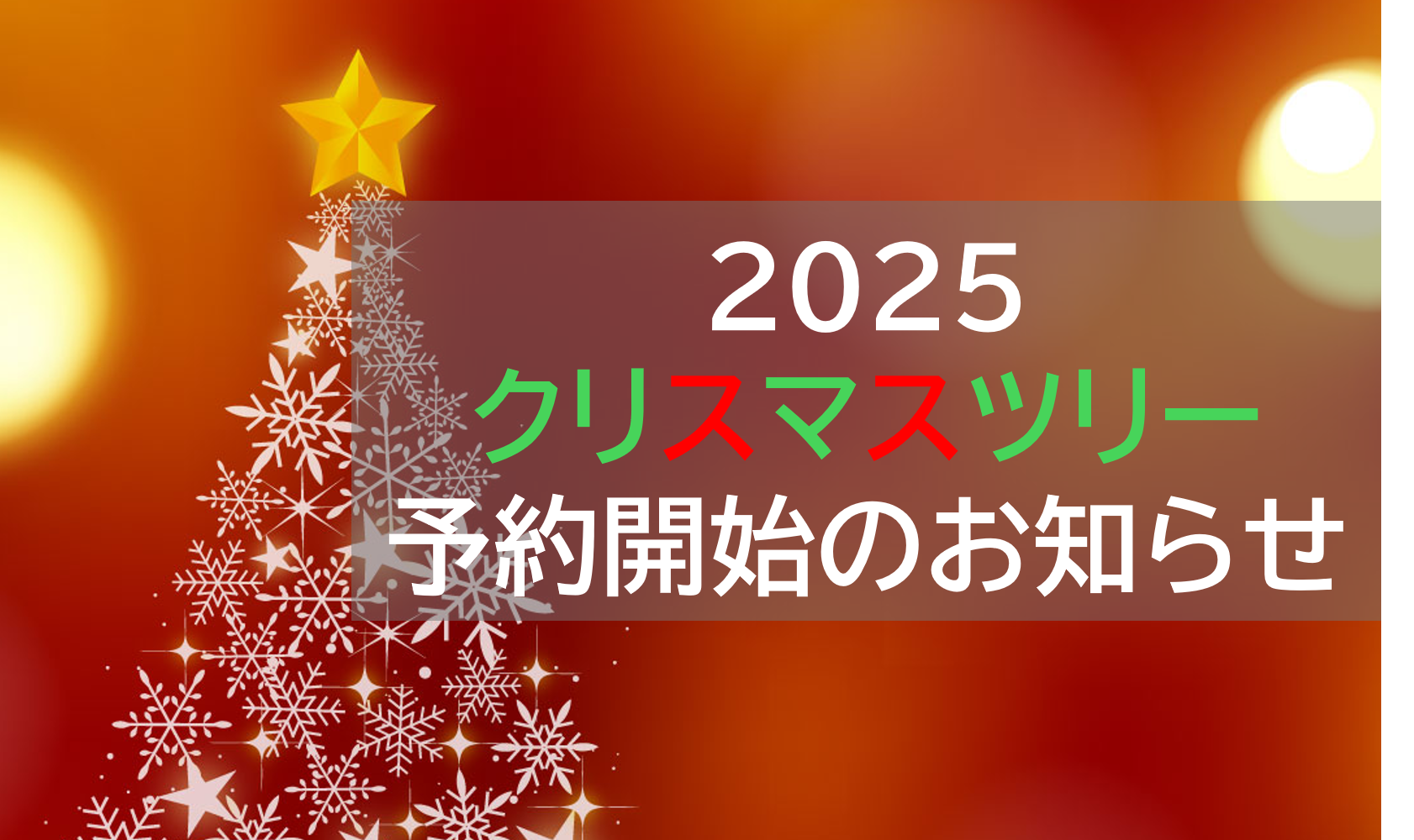 【クリスマス】もみの木の予約が始まりました