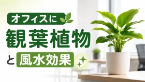 オフィスに置きたい観葉植物と風水効果｜配置のコツや注意点を解説！