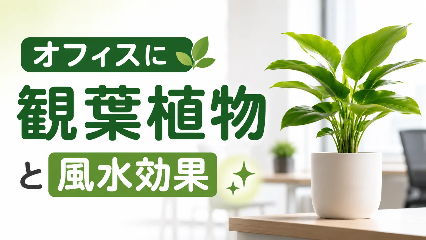 オフィスに置きたい観葉植物と風水効果｜配置のコツや注意点を解説！