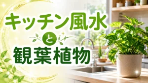 キッチン風水と観葉植物｜金運・健康運を高める相性とおすすめ配置
